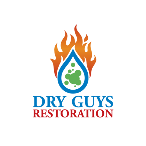 logo - 2024-06-01T154448.941 Dry Guys Restoration
