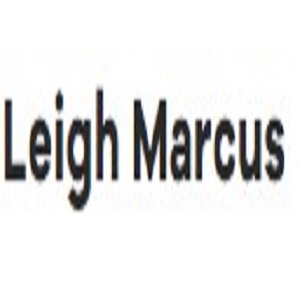 Leigh Marcus Chicago Picture Box