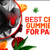 Bloom CBD Gummies Reviews