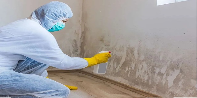 Water Damage Alliance.. Water Damage Repair in Bellingham, WA