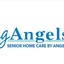 Logo - Visiting Angels - Senior Home Care in Westchase