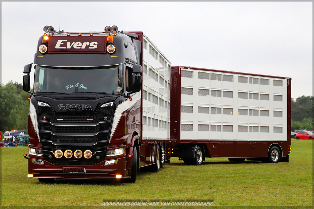 suerr (23)-BorderMaker - 