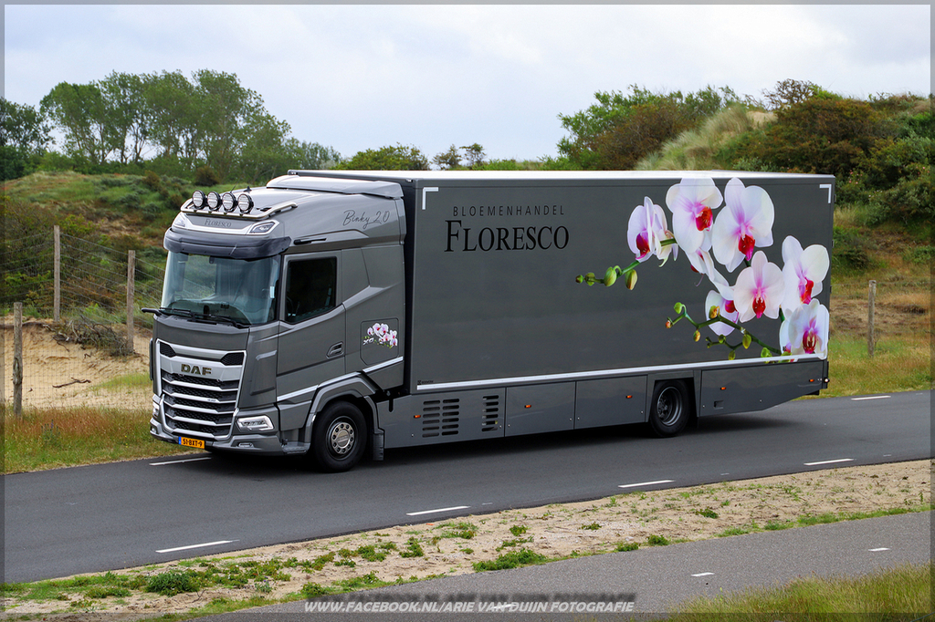 Shoots (30)-BorderMaker - 