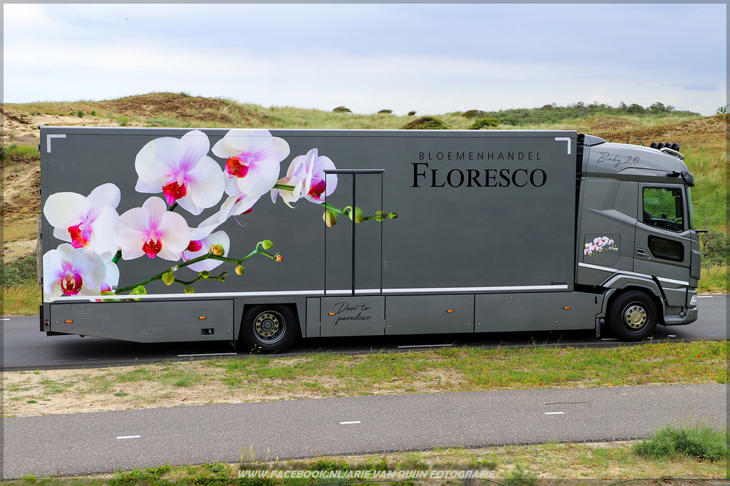 Shoots (2)-BorderMaker - 