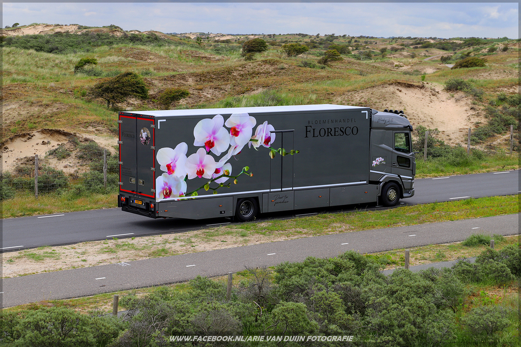 Shoots (5)-BorderMaker - 