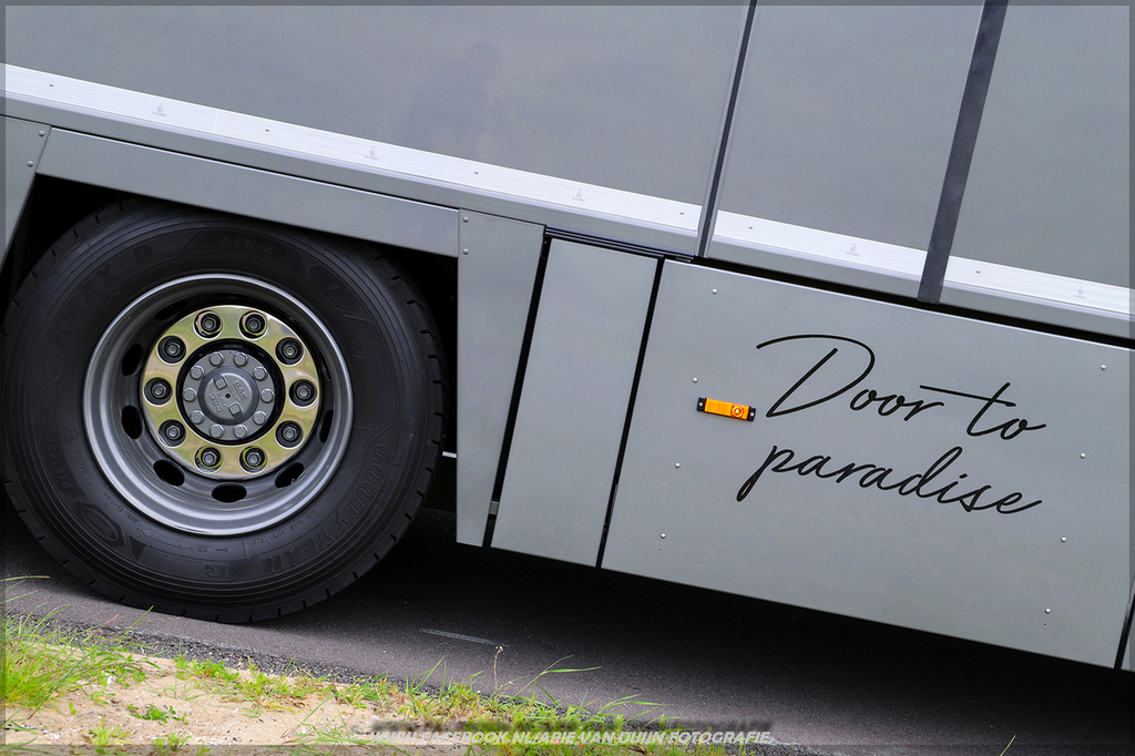 Shoots (7)-BorderMaker - 