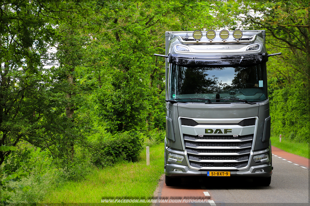 Shoots (13)-BorderMaker - 