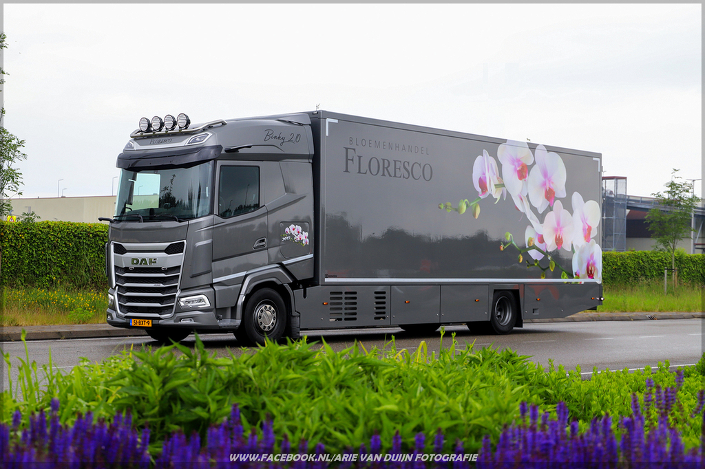 Shoots (23)-BorderMaker - 