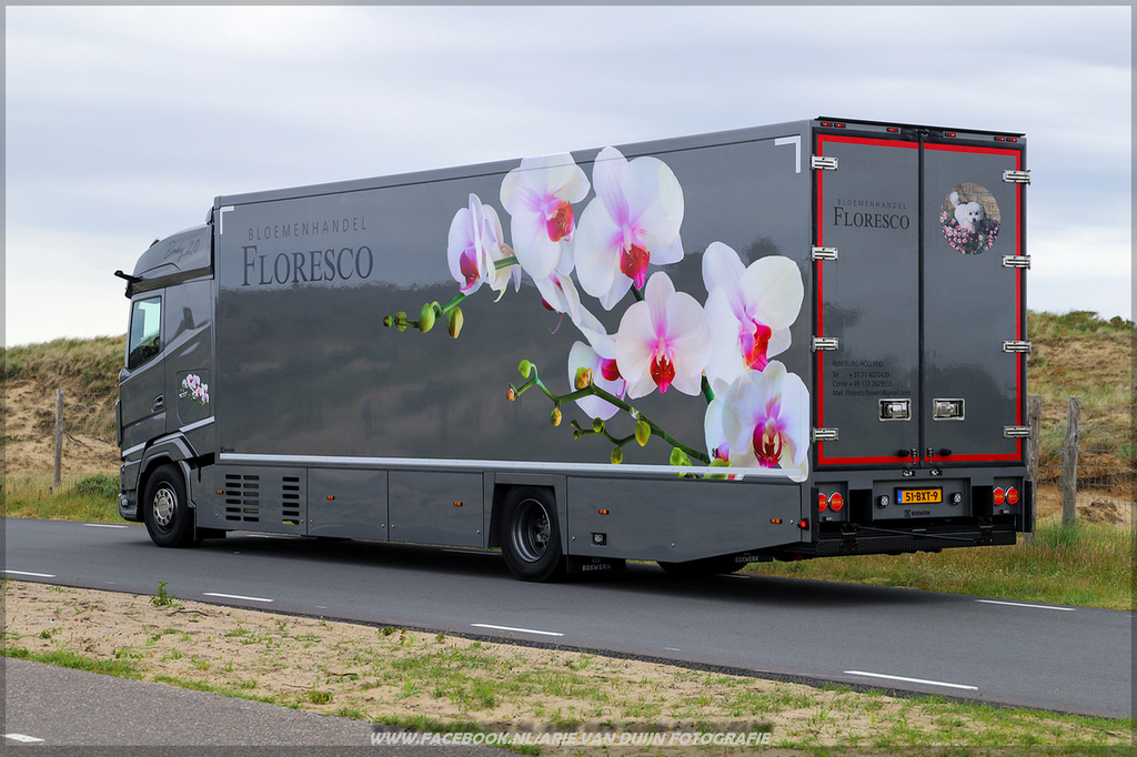 Shoots (34)-BorderMaker - 