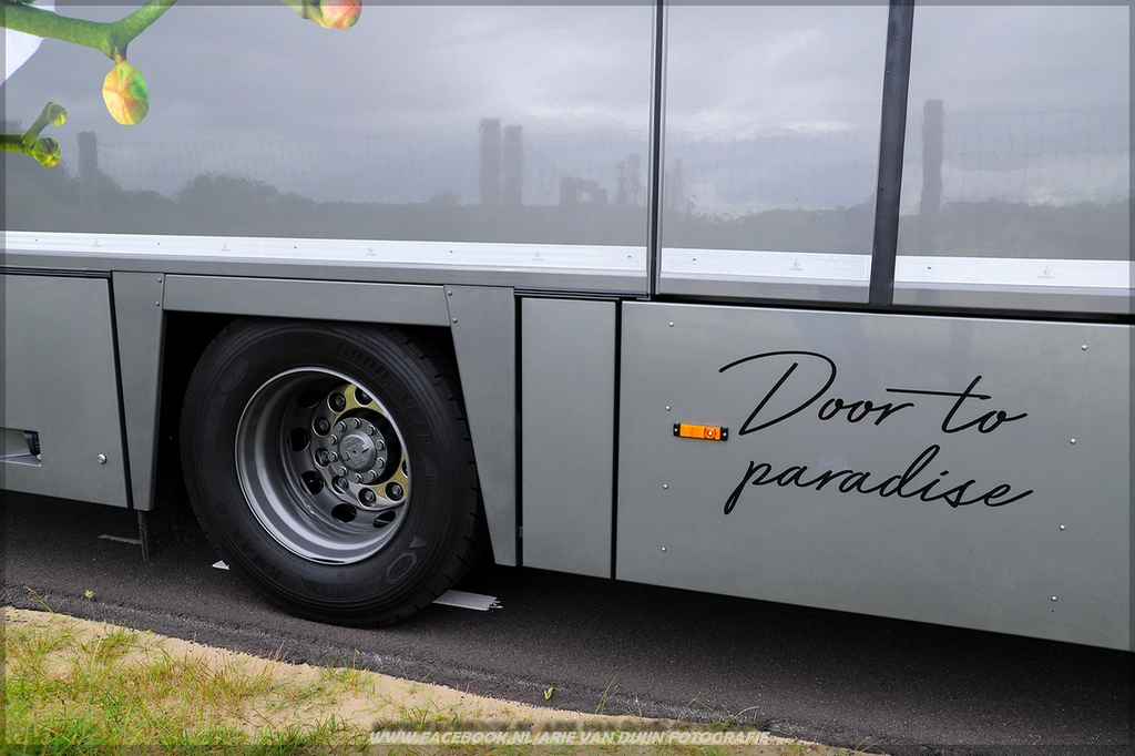 Shoots (37)-BorderMaker - 