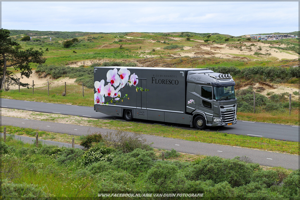 Shoots (48)-BorderMaker - 