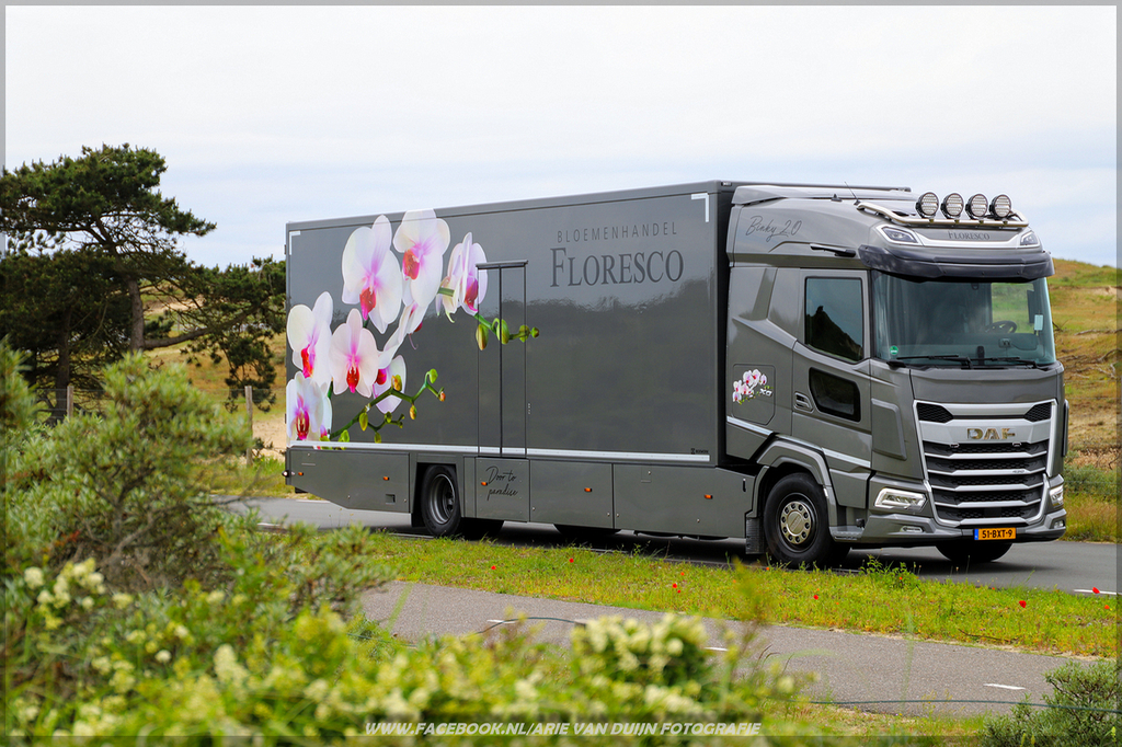 Shoots (45)-BorderMaker - 