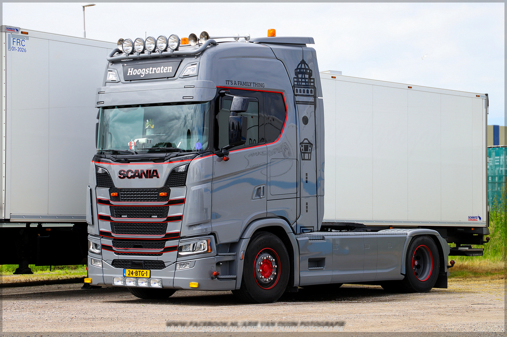 Shoots (19)-BorderMaker - 