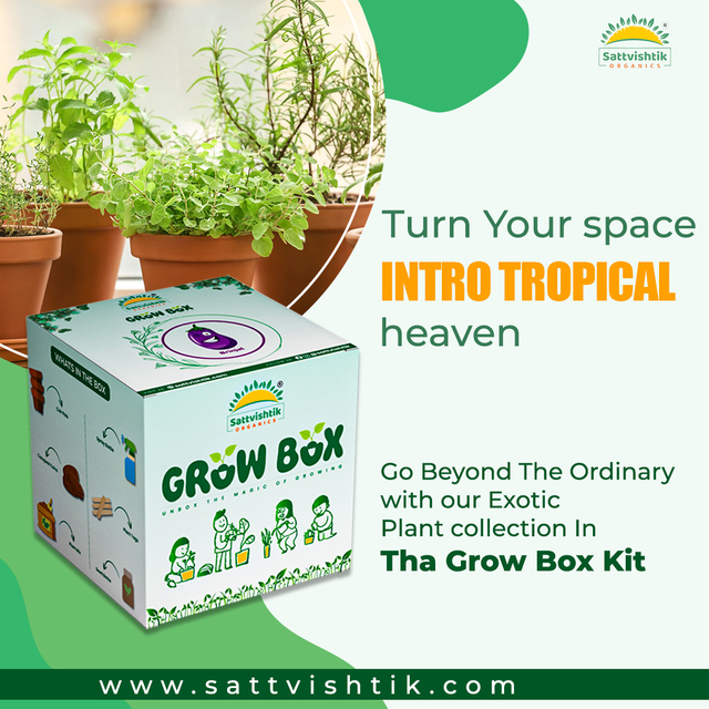 Indoor Grow Box  Image Submission Picture Box