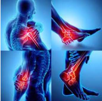 Screenshot 2024-06-12 121905 Yuppie cbd gummies