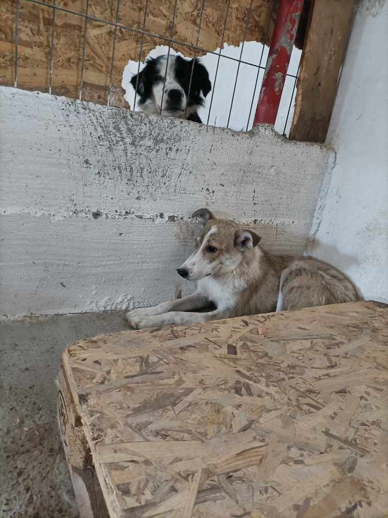 445725792 975059473939578 2718294684291289013 n - 