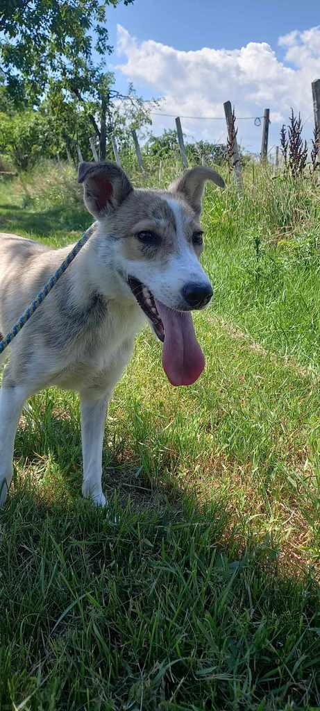 441499391 790430549822496 4635917674954230277 n - Dushi