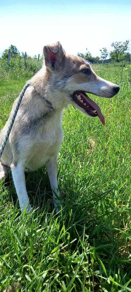 441575356 864375795728531 7062032666397618156 n - Dushi