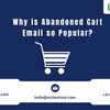 Why is Abandoned Cart Email... - Picture Box