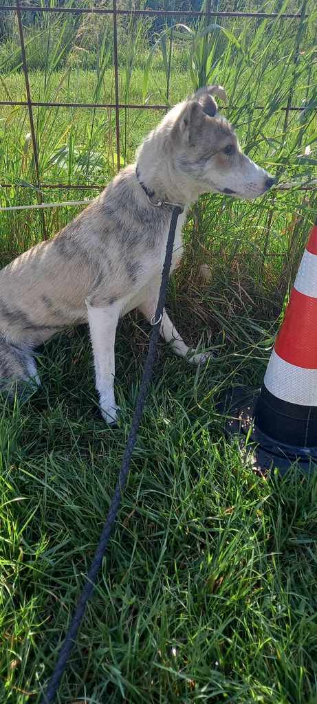 441555165 1679683399472429 2459123415238644338 n ( - 