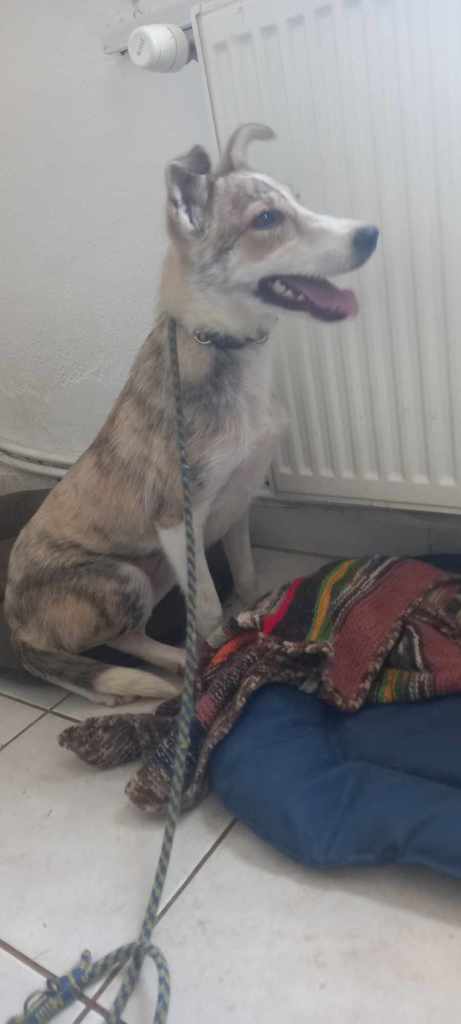 448307461 424499800562327 1475986358829306062 n - 