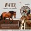 Looking For Best Water Ther... - Picture Box
