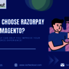 Why Choose Razorpay for Mag... - Picture Box