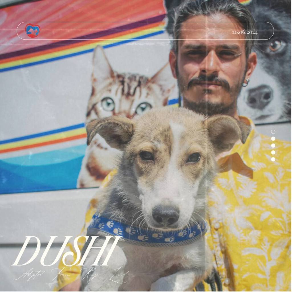 448734236 870309581795601 6712690326242848669 n - 