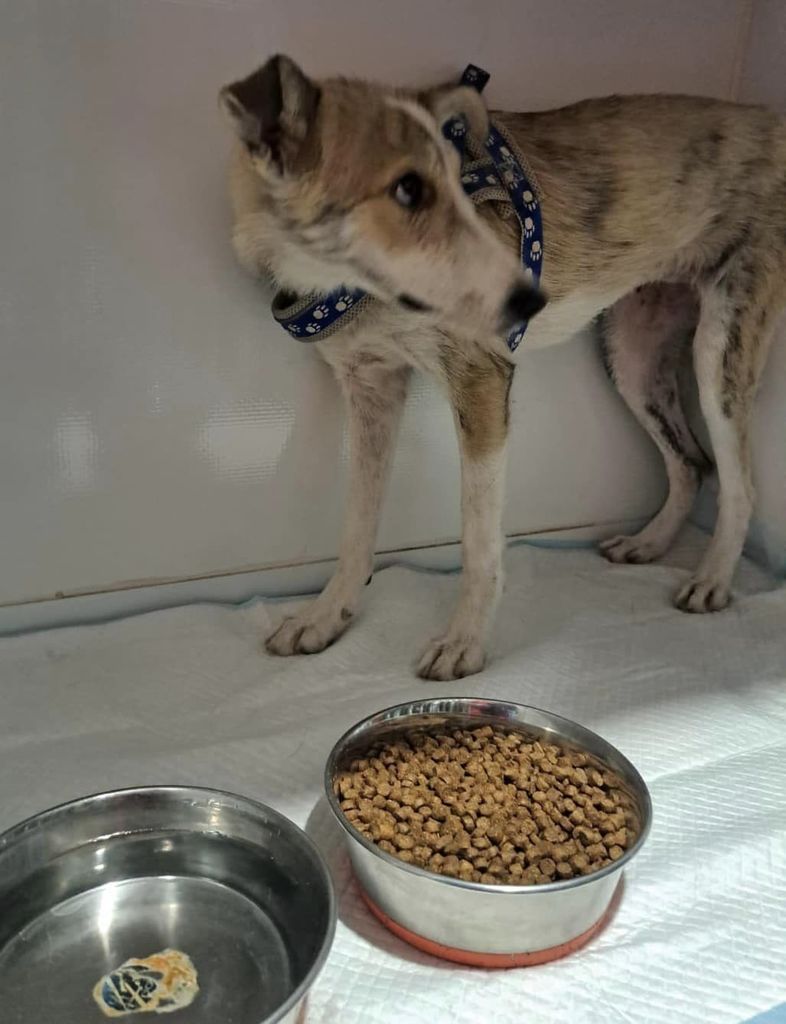 448832965 8014955681895526 6175026077904866194 n - 