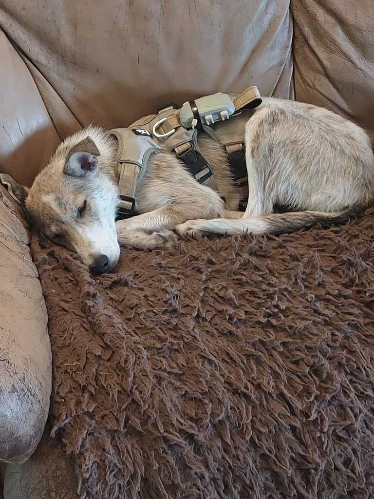 Afbeelding van WhatsApp op 2024-06-23 om 08.30 - 