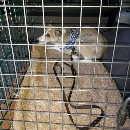 417503408 8019673738090387 3035823740175866737 n - 