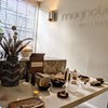 herbal consultations - Magnolia Wellness