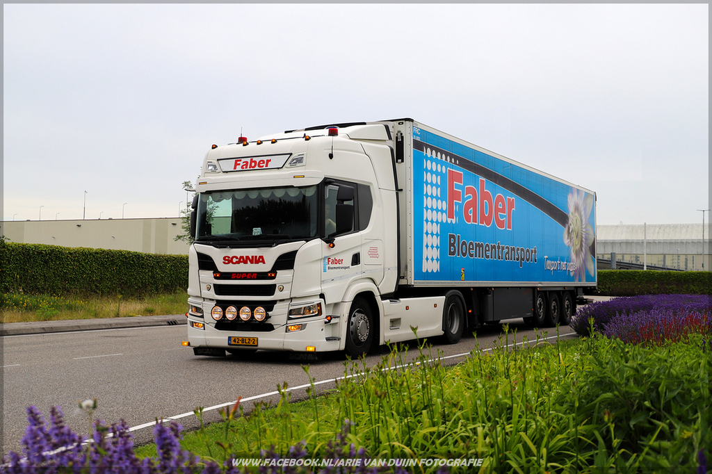 Dinsdag (31)-BorderMaker - 