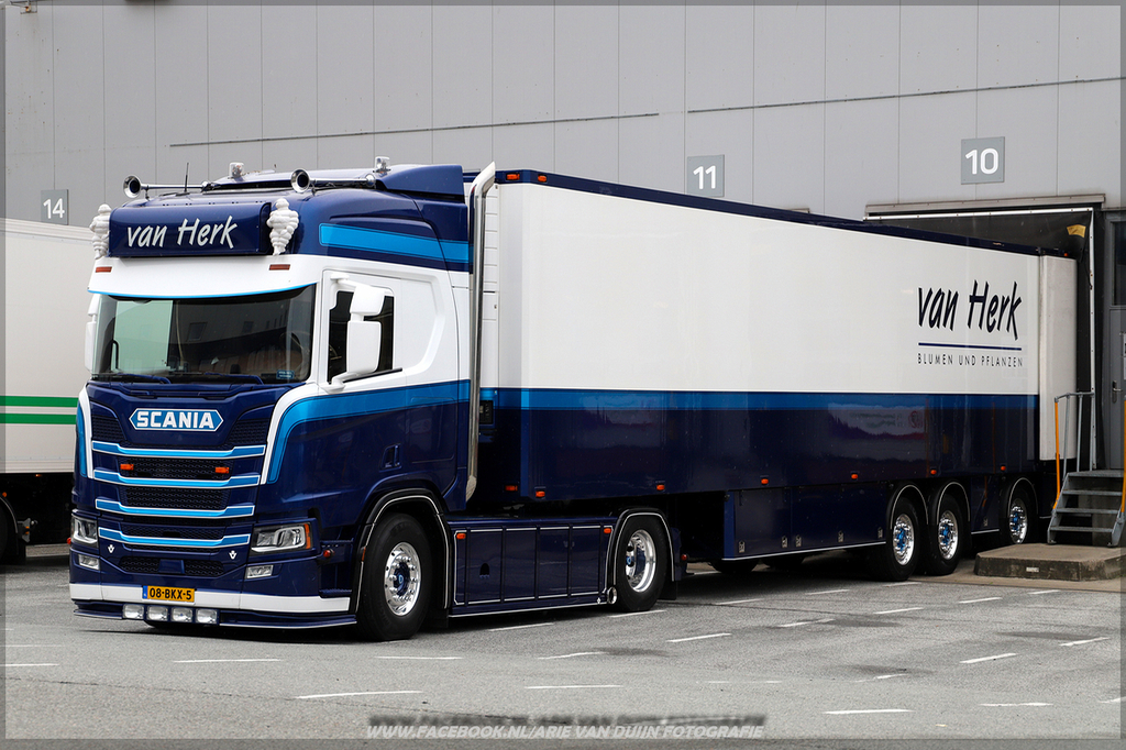 Dinsdag (34)-BorderMaker - 