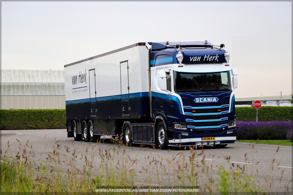 Dinsdag (41)-BorderMaker - 