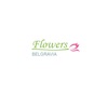 Belgravia Flowers