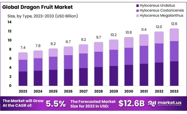 Dragon-Fruit-Market-1024x623 Picture Box