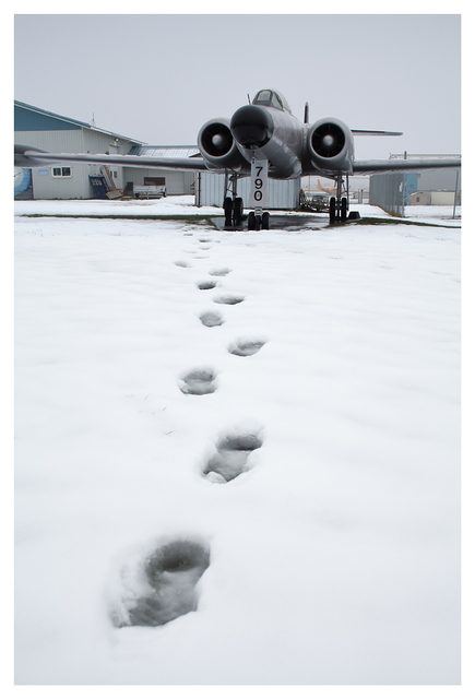 Comox Heritage Airpark 2024 2 Aviation