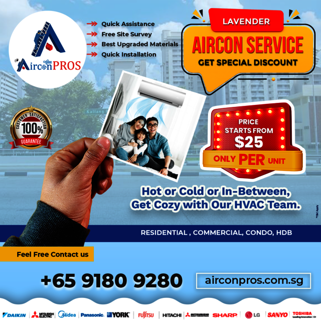 lavender Picture Box