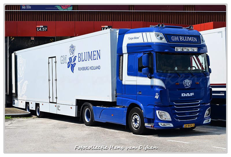 GM Blumen 64-BGV-3-BorderMaker - 