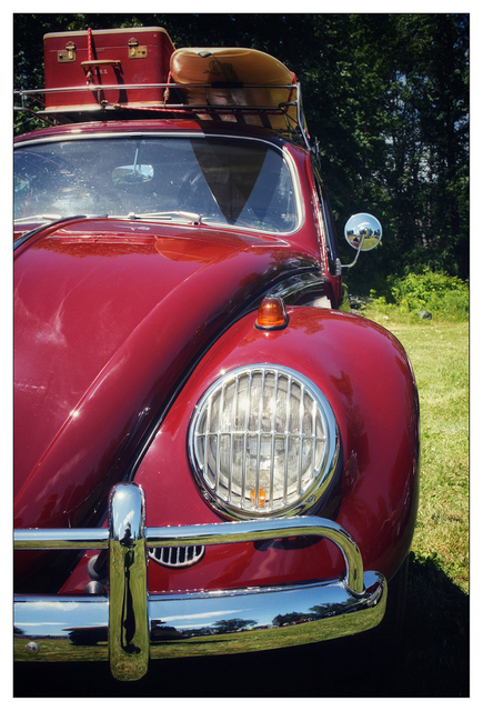 Union Bay Car Show 2024 3 Automobile