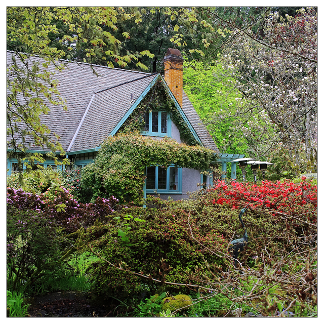 Milner Gardens 2024  (7) Vancouver Island