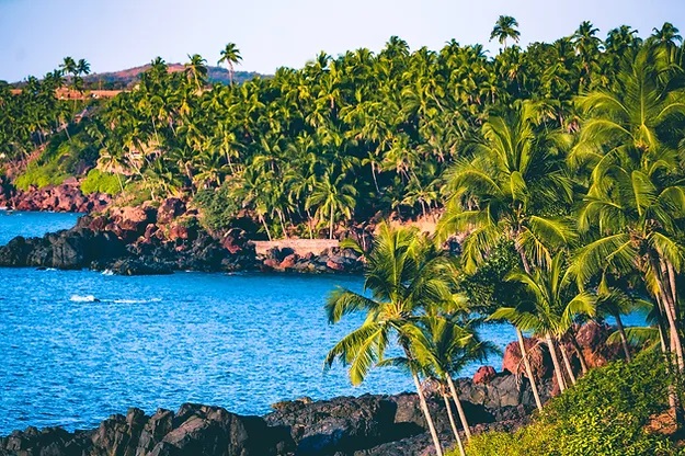 Munnar Honeymoon Package Asian Trails Pvt Ltd