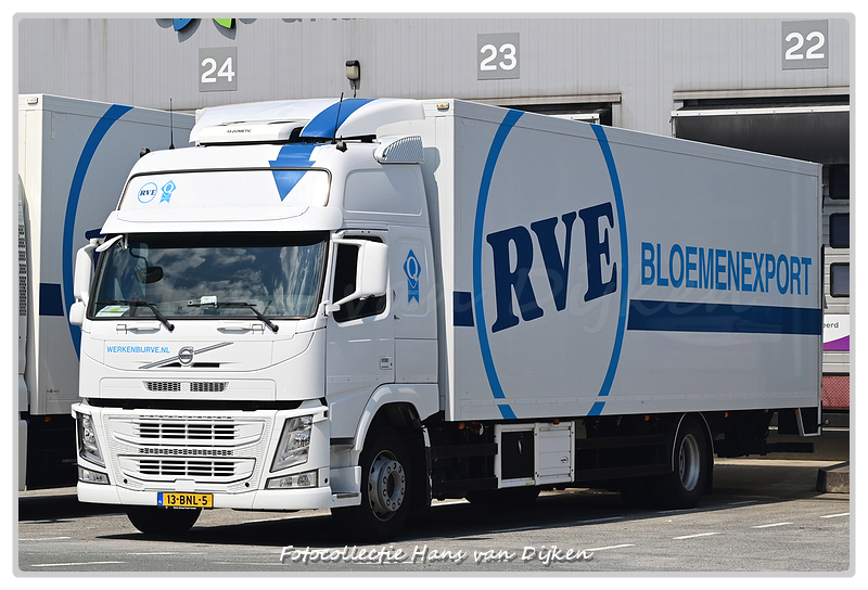 RVE Bloemenexport 13-BNL-5-BorderMaker - 