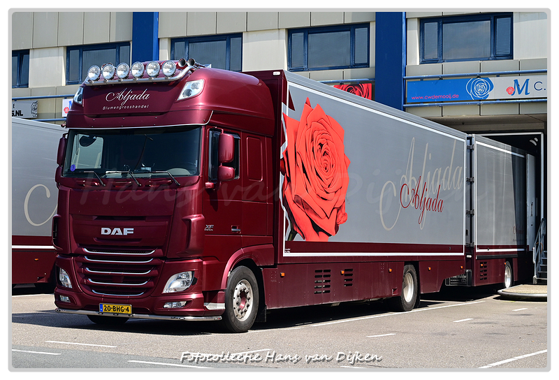 Aljada 20-BHG-4(2)-BorderMaker - 