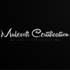 Mulesoft Certification - Mulesoft Certification