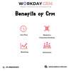 Crm management software | Work Day Crm