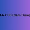 SAA-C03 Exam Dumps - SAA-C03 Exam Dumps