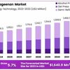 Carrageenan-Market-1024x611 - Picture Box