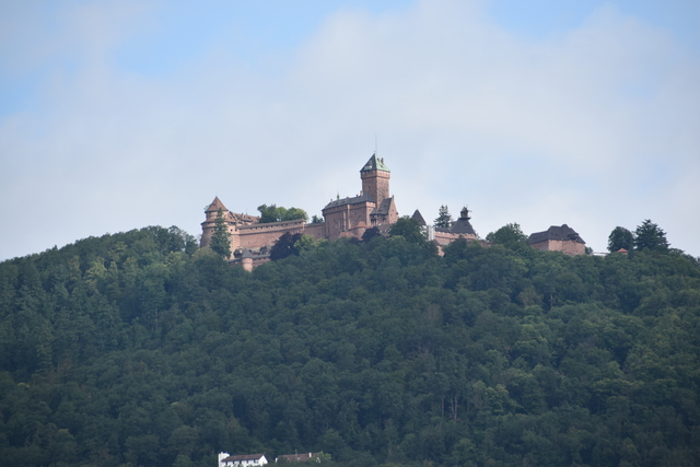 DSC 0480 Patan Grand Tour d'Alsace 2024